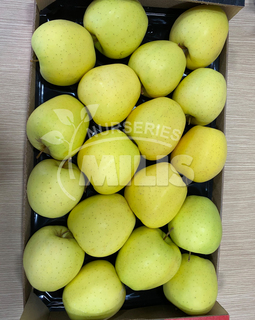 Golden Delicious Photo 2